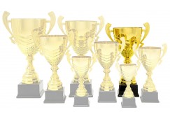 1023 C - Premium Cup